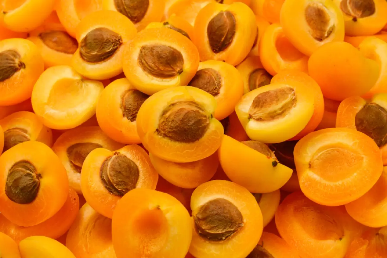 Mangiare troppe albicocche: ecco le conseguenze Mangiare troppe albicocche: ecco le conseguenze