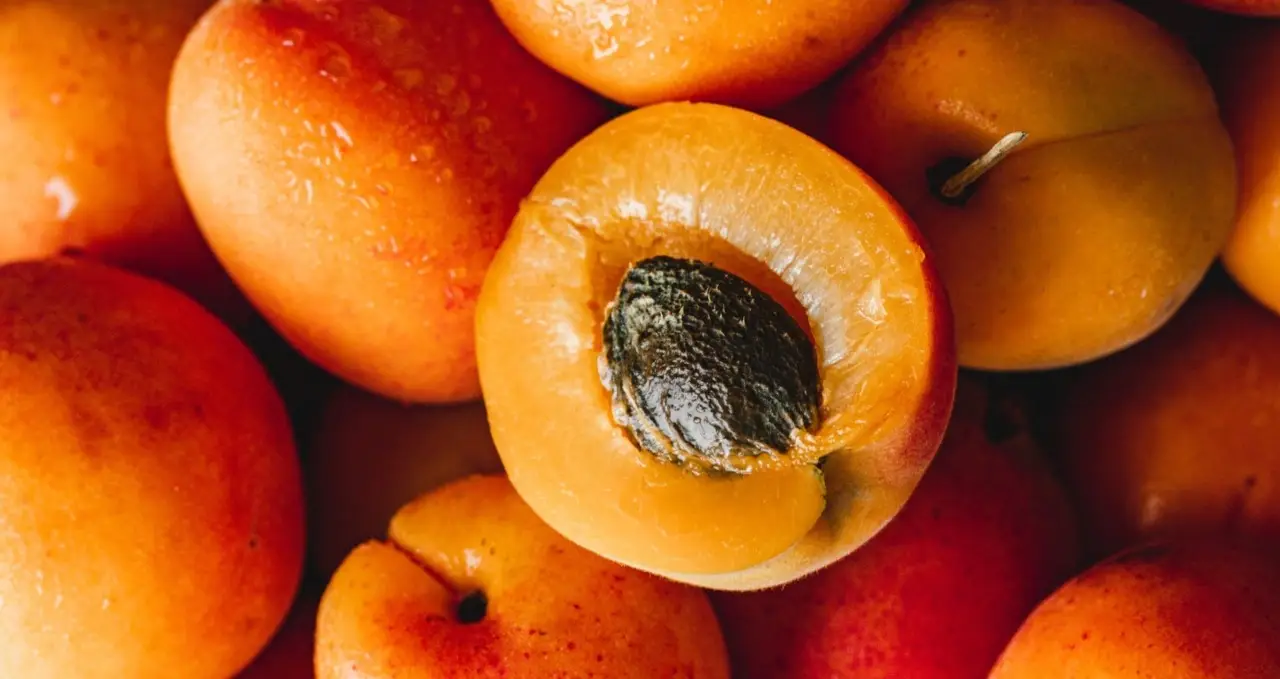 Mangiare troppe albicocche: ecco le conseguenze Mangiare troppe albicocche: ecco le conseguenze