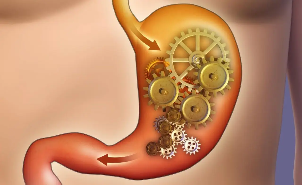 I segnali che il tuo metabolismo è troppo lento e come riattivarlo naturalmente I segnali che il tuo metabolismo è troppo lento e come riattivarlo naturalmente