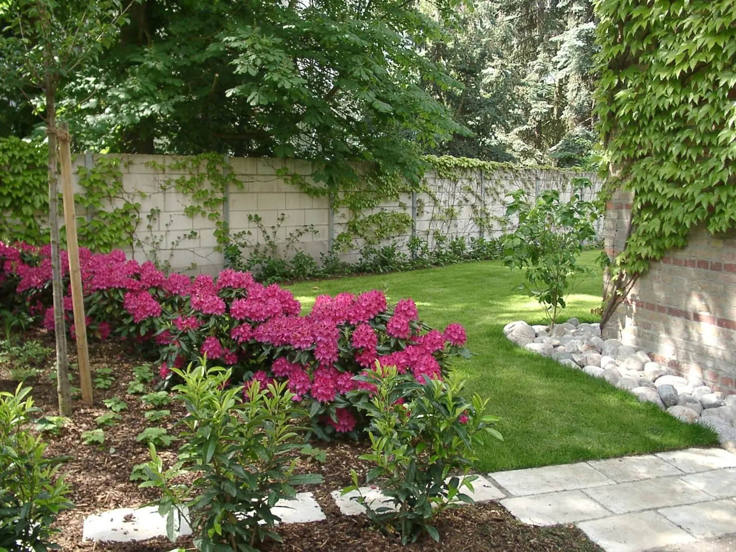 La pianta anti-zanzara che trasforma il tuo giardino: ecco come piantarla ora e vivere un’estate senza punture La pianta anti-zanzara che trasforma il tuo giardino: ecco come piantarla ora e vivere un’estate senza punture