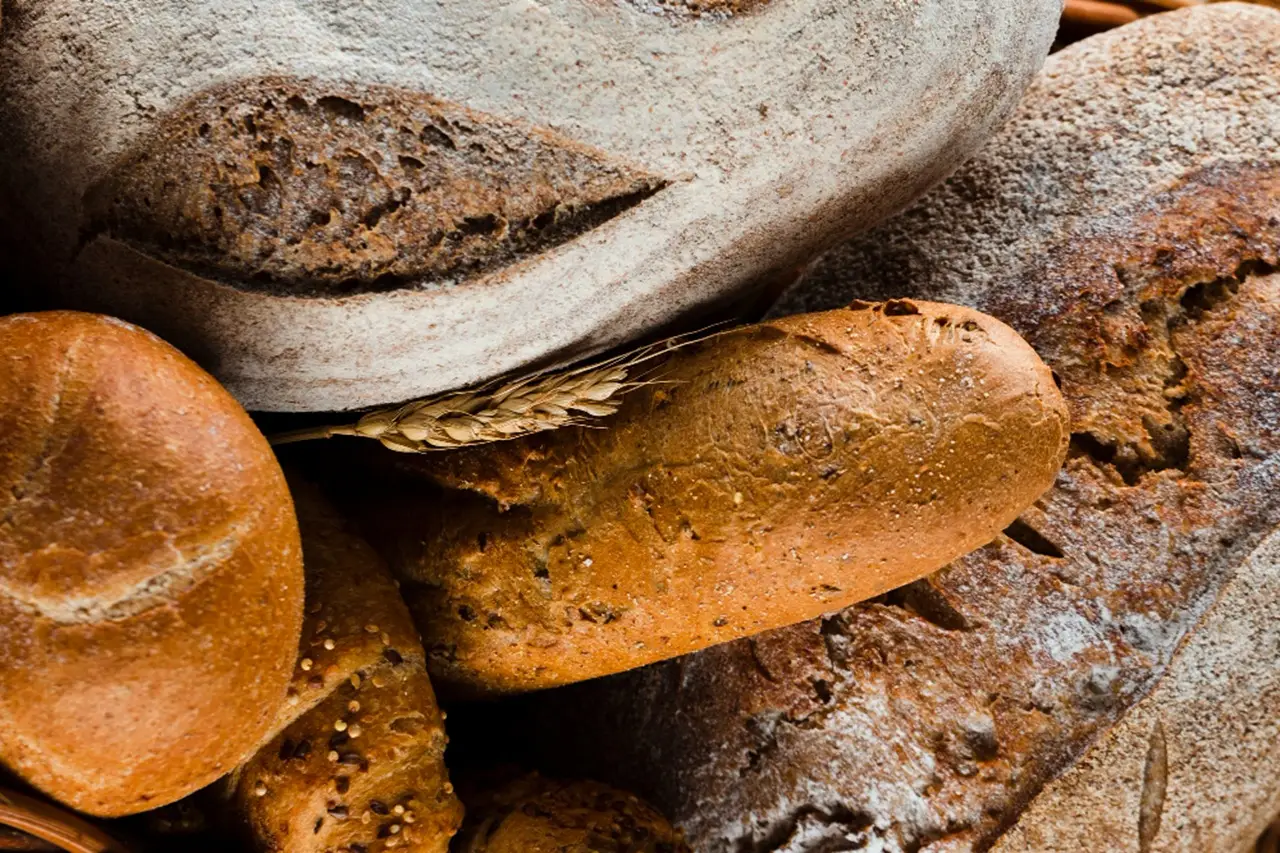 Pane integrale per la dieta? Ecco quando fa ingrassare e cosa scegliere invece Pane integrale per la dieta? Ecco quando fa ingrassare e cosa scegliere invece