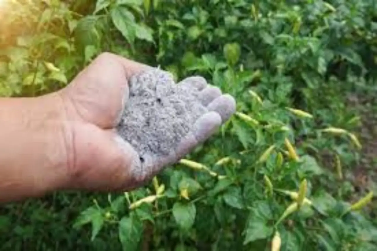 Come usare la cenere per ortaggi estivi: il consiglio degli agronomi per raccolti sani Come usare la cenere per ortaggi estivi: il consiglio degli agronomi per raccolti sani