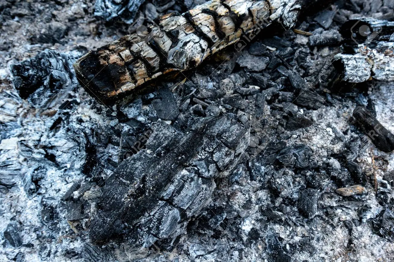 Come usare la cenere per ortaggi estivi: il consiglio degli agronomi per raccolti sani Come usare la cenere per ortaggi estivi: il consiglio degli agronomi per raccolti sani
