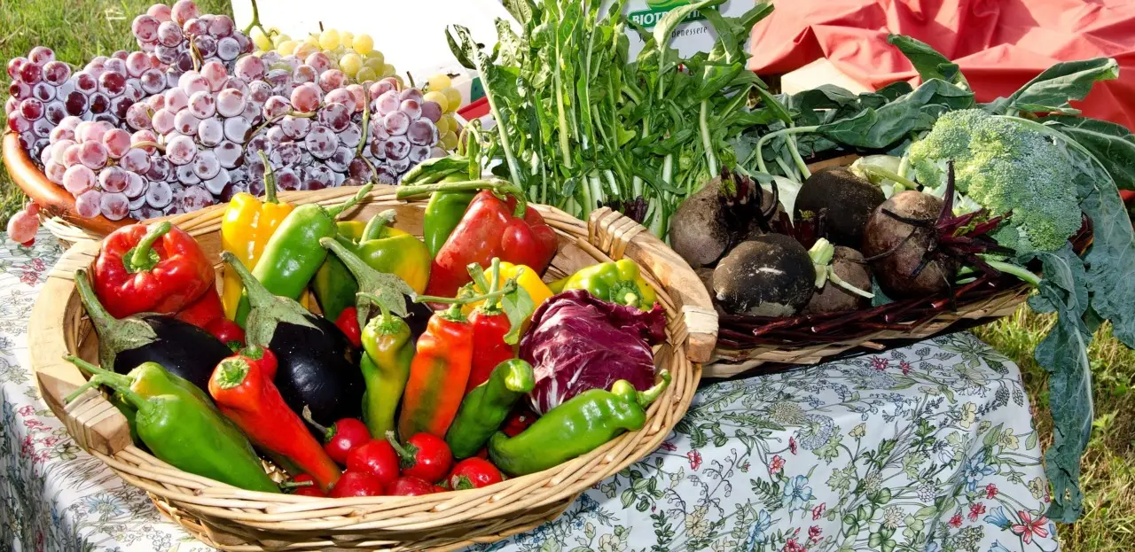 Come usare la cenere per ortaggi estivi: il consiglio degli agronomi per raccolti sani Come usare la cenere per ortaggi estivi: il consiglio degli agronomi per raccolti sani