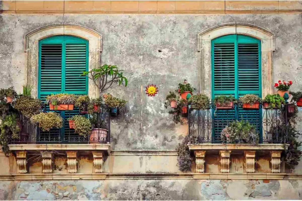 Come prevenire la muffa nei vasi in estate: la soluzione naturale dei botanici per balconi sani Come prevenire la muffa nei vasi in estate: la soluzione naturale dei botanici per balconi sani