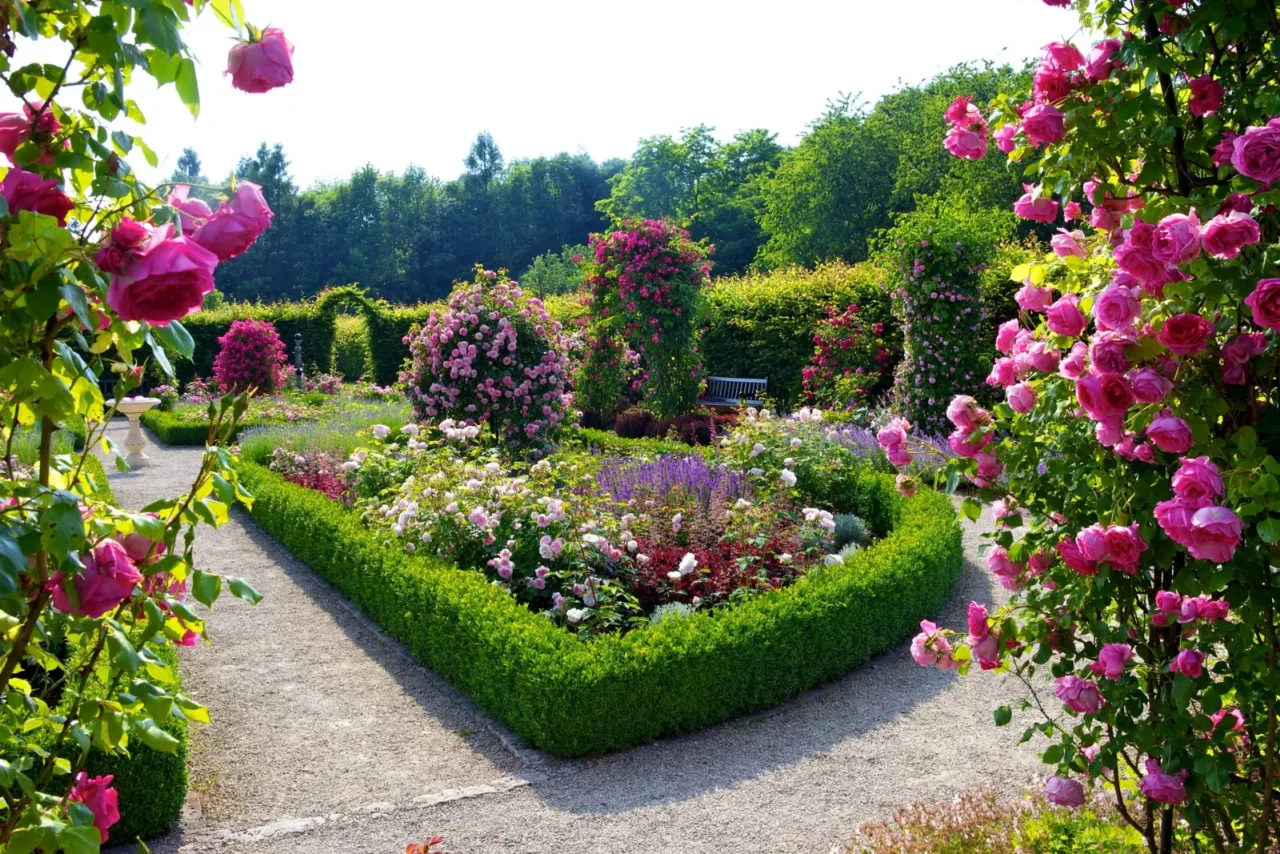 Aiuole perfette senza manutenzione: le 5 tappezzanti che risolvono ogni problema Aiuole perfette senza manutenzione: le 5 tappezzanti che risolvono ogni problema