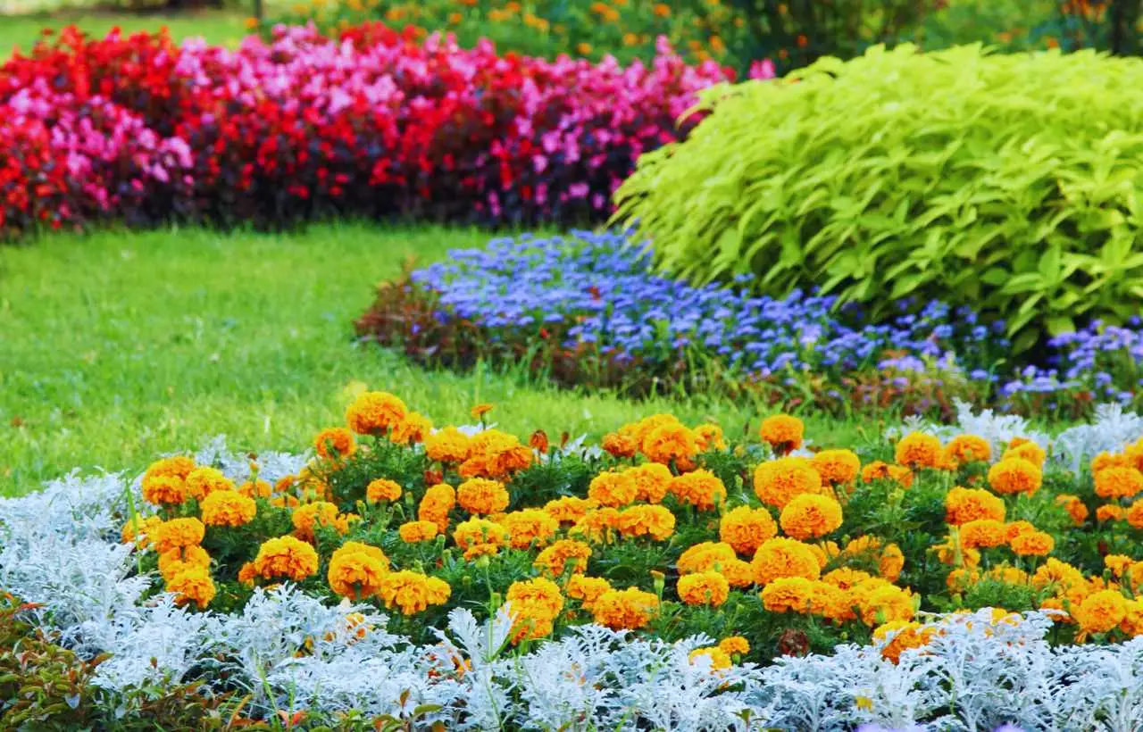 Giardini che nutrono la biodiversità: il ritorno delle piante autoctone Giardini che nutrono la biodiversità: il ritorno delle piante autoctone