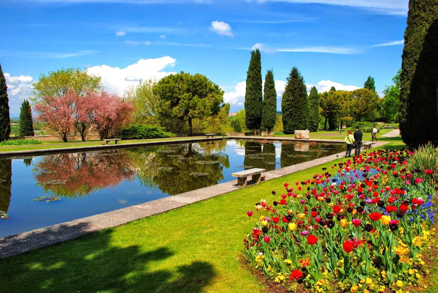 Giardini che nutrono la biodiversità: il ritorno delle piante autoctone Giardini che nutrono la biodiversità: il ritorno delle piante autoctone