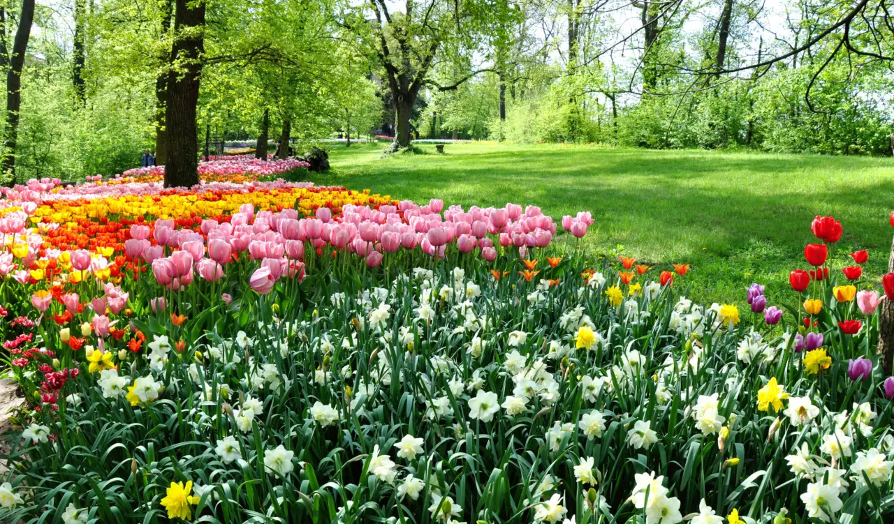 Giardini che nutrono la biodiversità: il ritorno delle piante autoctone Giardini che nutrono la biodiversità: il ritorno delle piante autoctone