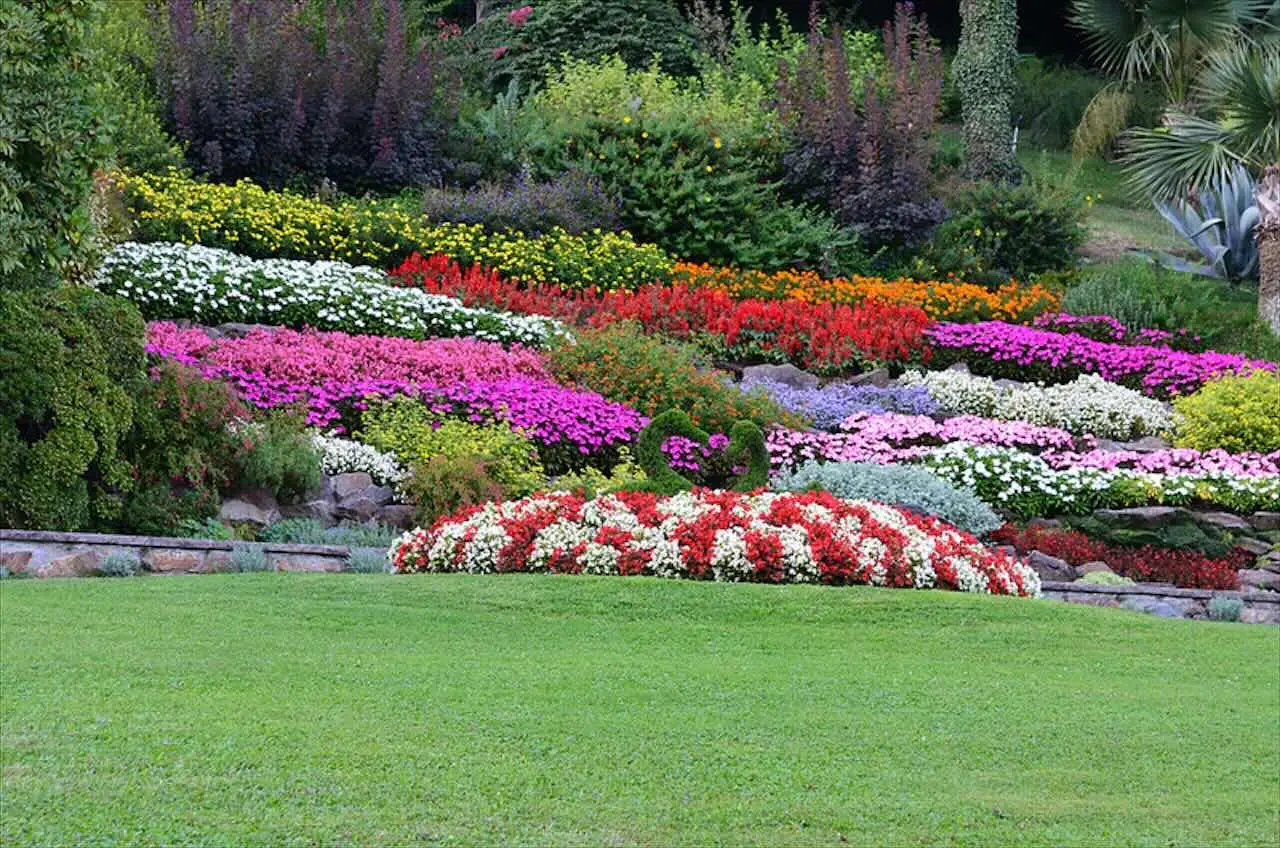 Giardini che nutrono la biodiversità: il ritorno delle piante autoctone Giardini che nutrono la biodiversità: il ritorno delle piante autoctone