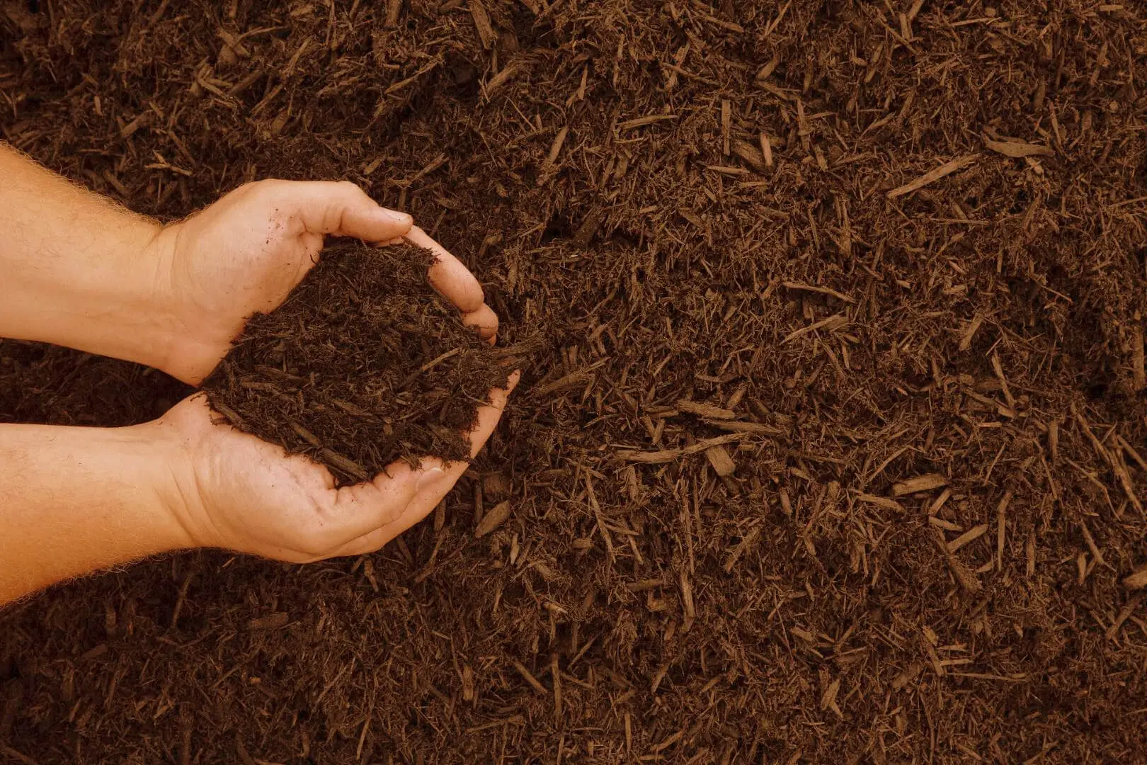 Il segreto della pacciamatura con materiali riciclati: risparmia acqua e proteggi il terreno nei mesi più caldi Il segreto della pacciamatura con materiali riciclati: risparmia acqua e proteggi il terreno nei mesi più caldi