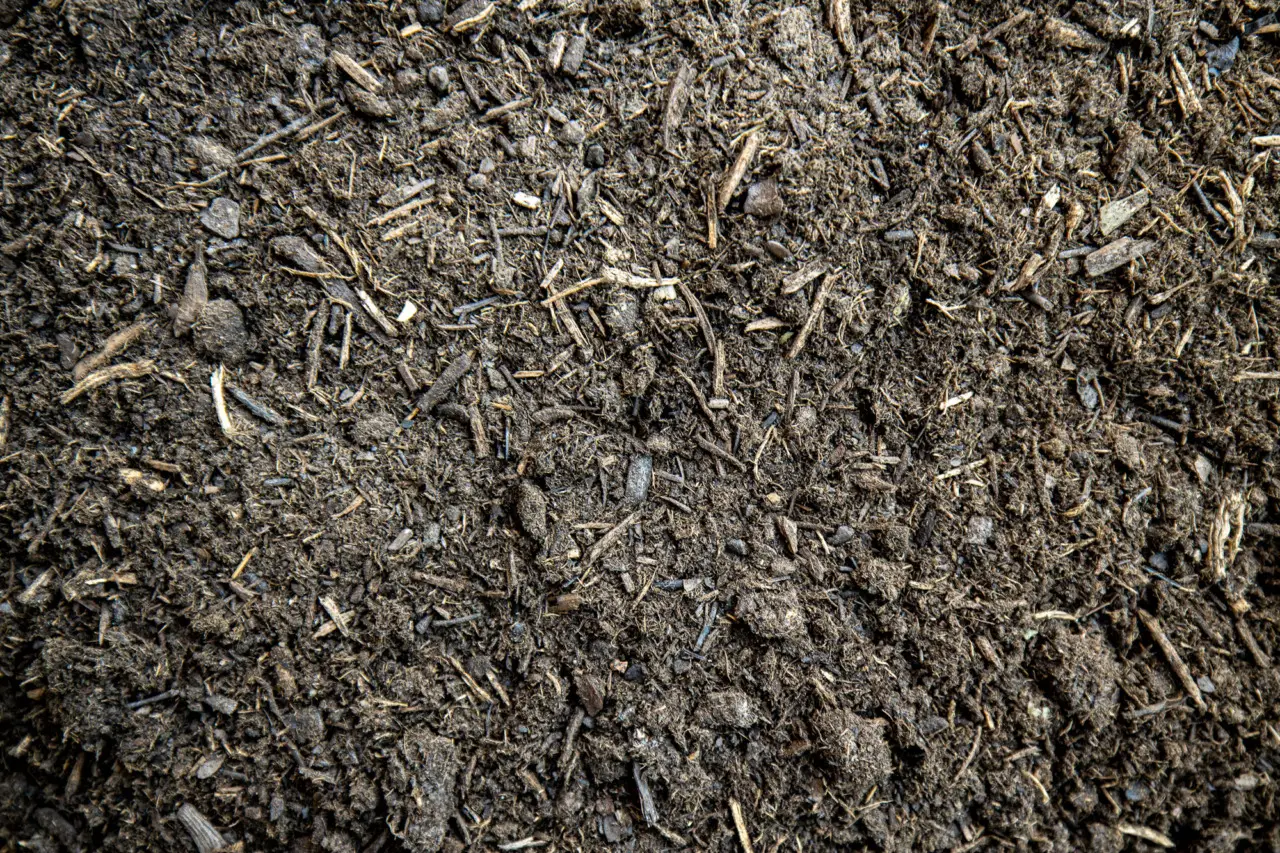 Il segreto della pacciamatura con materiali riciclati: risparmia acqua e proteggi il terreno nei mesi più caldi Il segreto della pacciamatura con materiali riciclati: risparmia acqua e proteggi il terreno nei mesi più caldi