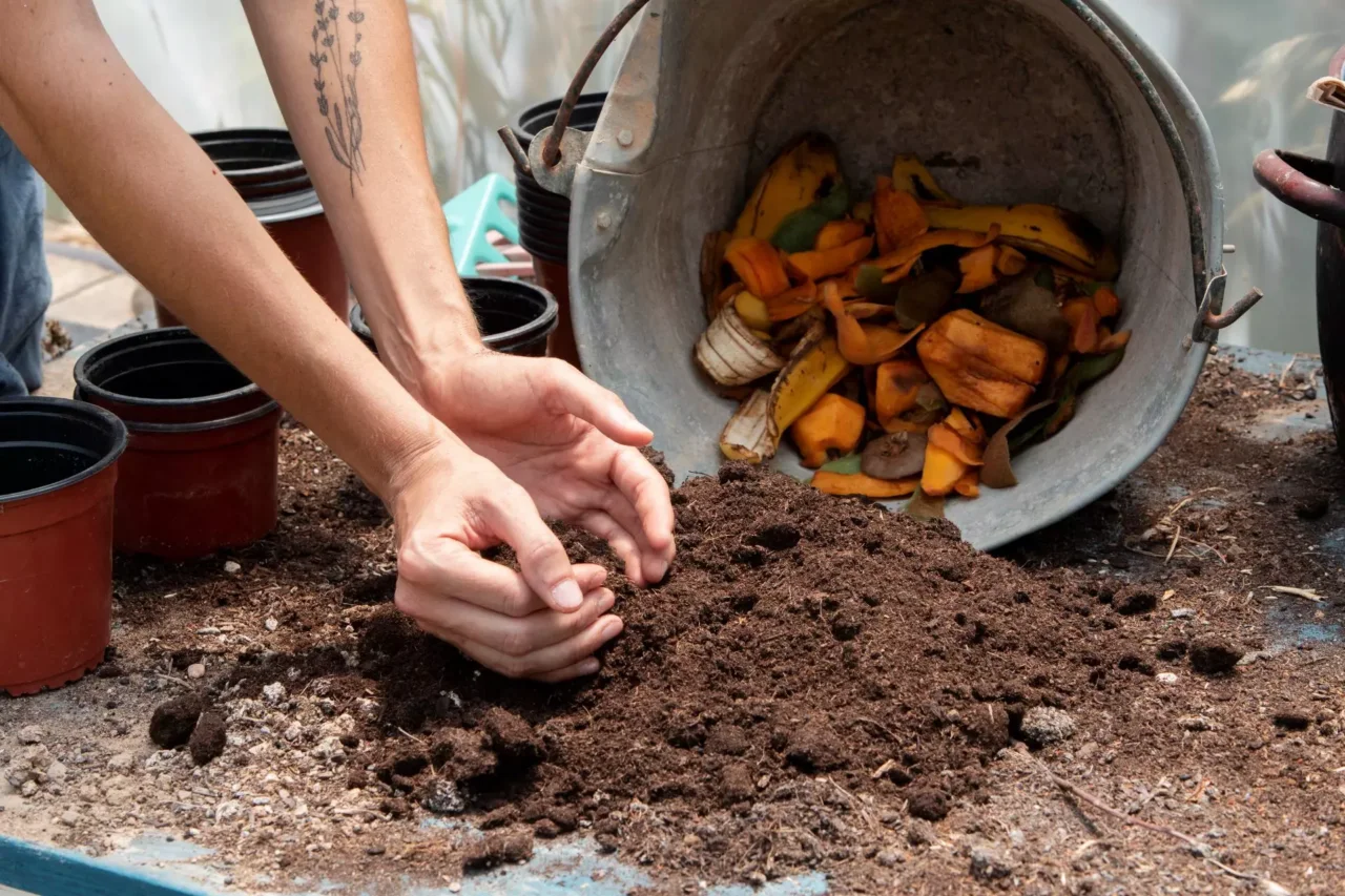 Il segreto della pacciamatura con materiali riciclati: risparmia acqua e proteggi il terreno nei mesi più caldi Il segreto della pacciamatura con materiali riciclati: risparmia acqua e proteggi il terreno nei mesi più caldi