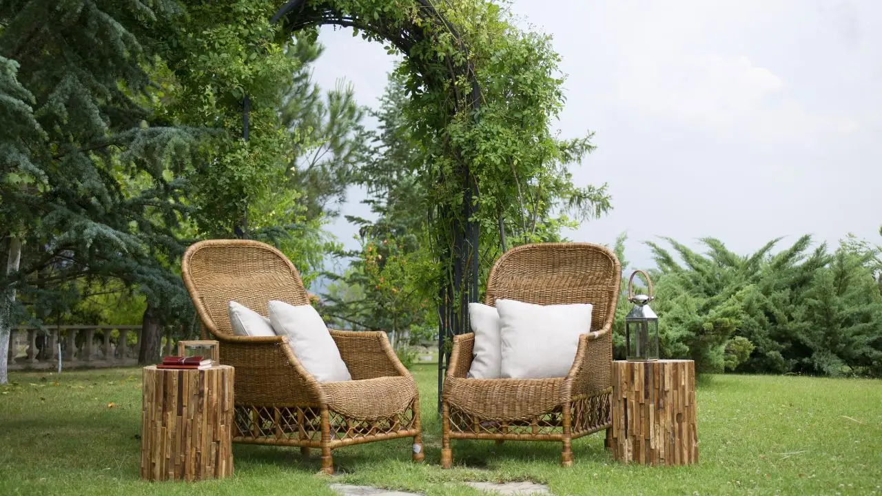 Come eliminare le vespe dal giardino: i 5 rimedi naturali dell’Istituto di Entomologia per un’estate tranquilla Come eliminare le vespe dal giardino: i 5 rimedi naturali dell’Istituto di Entomologia per un’estate tranquilla