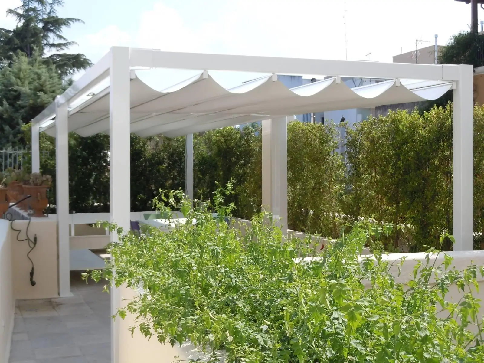 Come eliminare le vespe dal giardino: i 5 rimedi naturali dell’Istituto di Entomologia per un’estate tranquilla Come eliminare le vespe dal giardino: i 5 rimedi naturali dell’Istituto di Entomologia per un’estate tranquilla