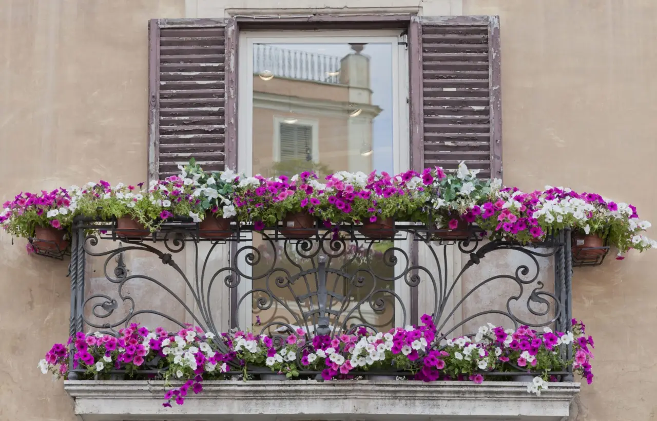 Come proteggere i fiori da balcone dal vento di giugno: la selezione dei vivaisti per terrazzi esposti Come proteggere i fiori da balcone dal vento di giugno: la selezione dei vivaisti per terrazzi esposti