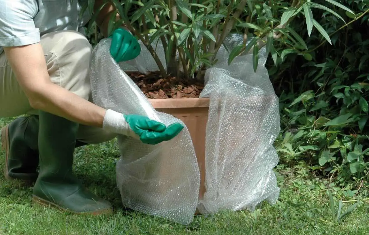 Come proteggere le radici delle piante aromatiche dal caldo: il metodo pratico per balconi esposti secondo Come proteggere le radici delle piante aromatiche dal caldo: il metodo pratico per balconi esposti secondo