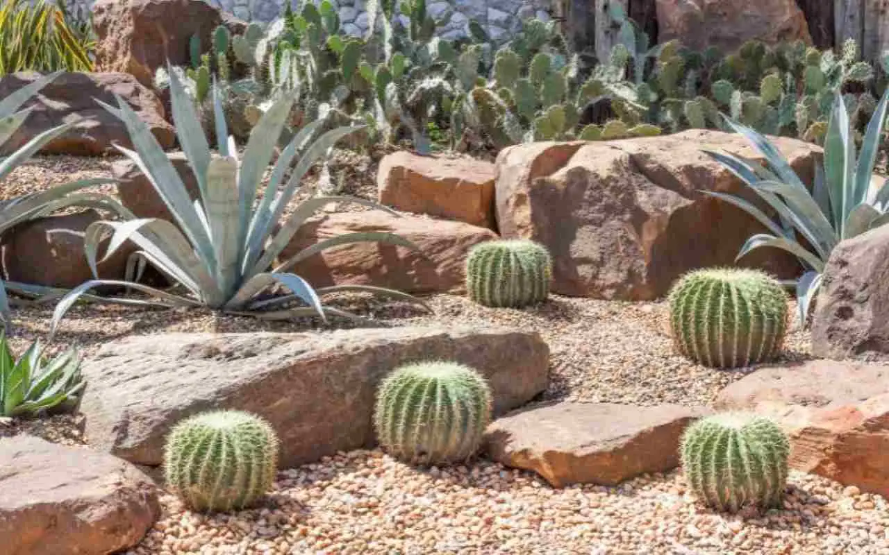 Come scegliere la ghiaia decorativa per proteggere il prato dal caldo estivo: il consiglio degli agronomi Come scegliere la ghiaia decorativa per proteggere il prato dal caldo estivo: il consiglio degli agronomi