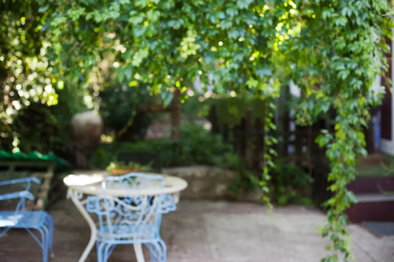 Crea una zona relax verde in giardino con mobili riciclati: le migliori idee green per l’estate 2025 Crea una zona relax verde in giardino con mobili riciclati: le migliori idee green per l’estate 2025