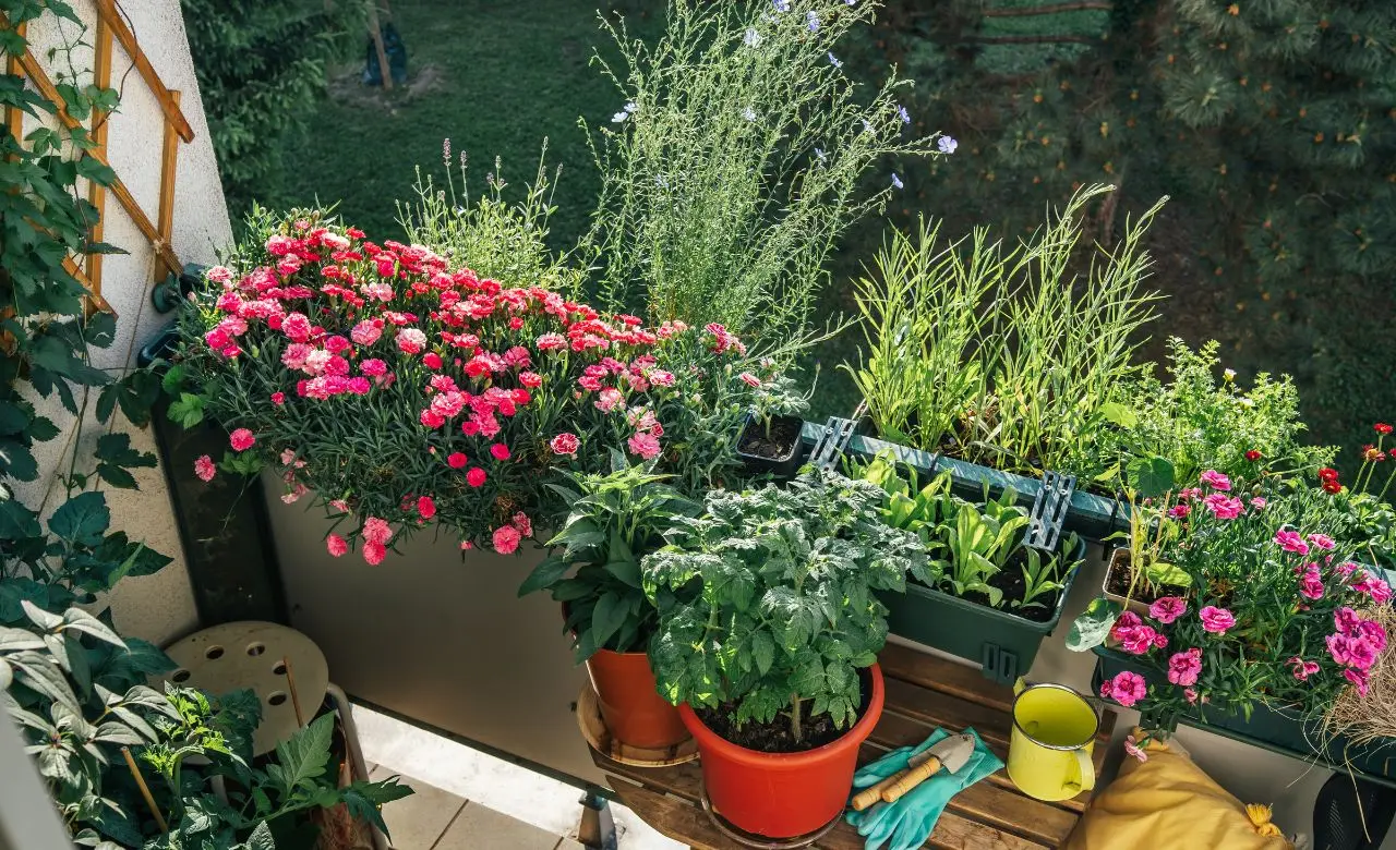 Come proteggere i fiori da balcone dal vento di giugno: la selezione dei vivaisti per terrazzi esposti Come proteggere i fiori da balcone dal vento di giugno: la selezione dei vivaisti per terrazzi esposti