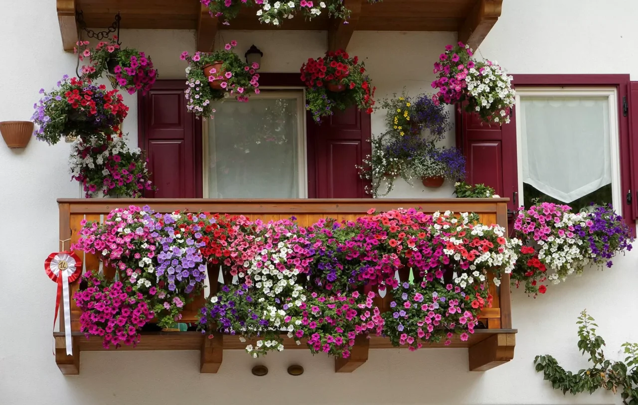 Come proteggere i fiori da balcone dal vento di giugno: la selezione dei vivaisti per terrazzi esposti Come proteggere i fiori da balcone dal vento di giugno: la selezione dei vivaisti per terrazzi esposti