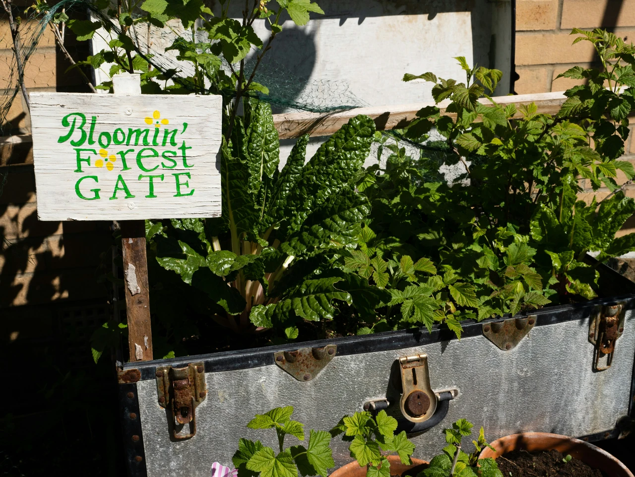 Crea una zona relax in giardino con mobili riciclati: le idee green più originali consigliate dagli esperti per l’estate 2025 Crea una zona relax in giardino con mobili riciclati: le idee green più originali consigliate dagli esperti per l’estate 2025