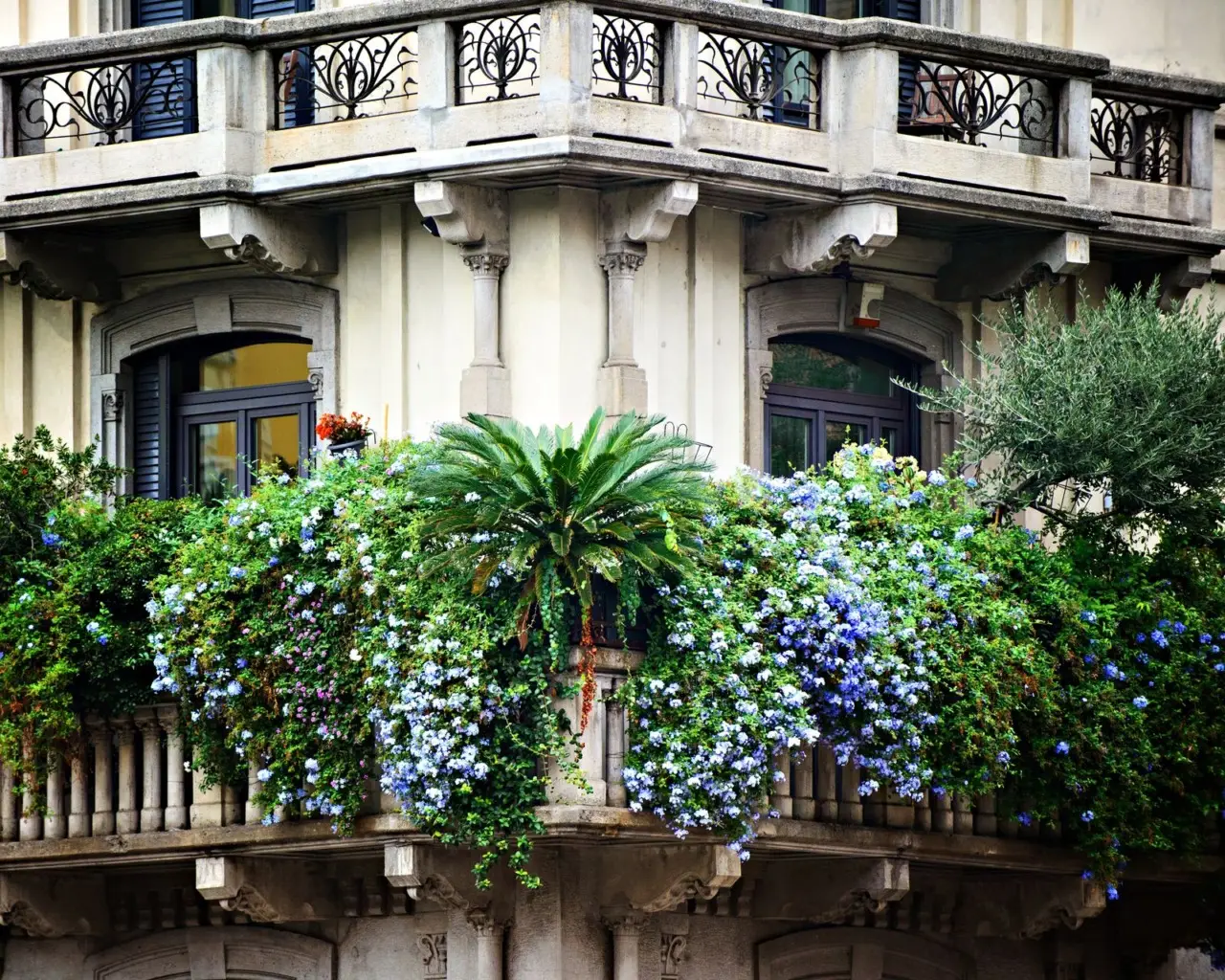 Come creare ombra naturale sul balcone: le varietà rampicanti più efficaci per giugno secondo i paesaggisti Come creare ombra naturale sul balcone: le varietà rampicanti più efficaci per giugno secondo i paesaggisti