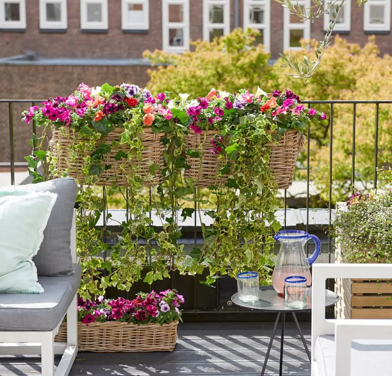 Come creare ombra naturale sul balcone: le varietà rampicanti più efficaci per giugno secondo i paesaggisti Come creare ombra naturale sul balcone: le varietà rampicanti più efficaci per giugno secondo i paesaggisti